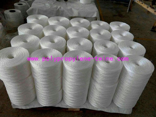 Horticulture Vegetable Fruit Plastic Polypropylene Twine Tying Bundling Rope