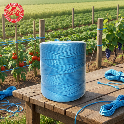Fibrillated PP Twine UV Stabilized Tomato Vine Support Twine