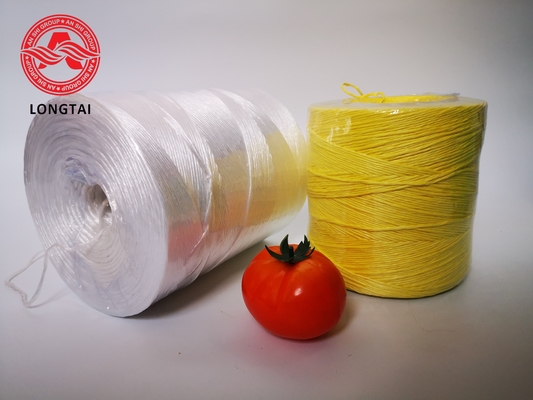UV Protection Colorful Agriculture PP Tomato Twine