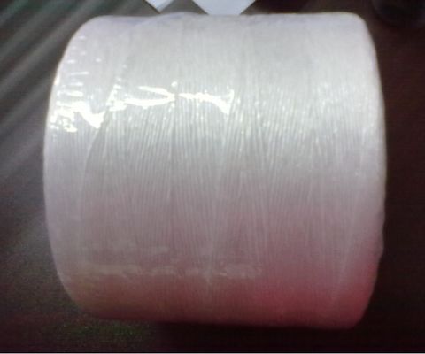 PP String for agriculture tomatoes
