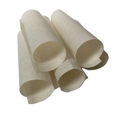 مقاومة العزل 1.12 مرة 10 للقوة 14 أوم ورق عزل المحرك مصمم لمقاومة الحرارة حتى 300 درجة مئوية