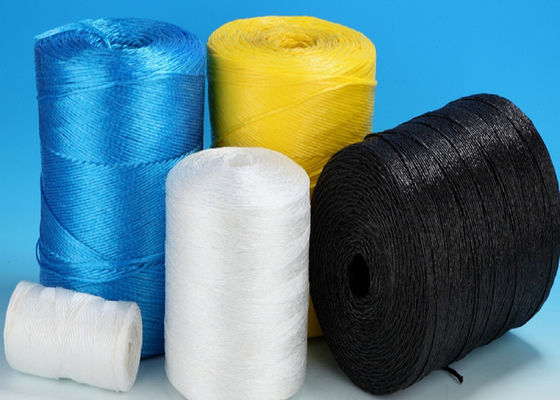 5 كجم / بكرة 7500 د 1200 م / كجم عذراء بولي بروبيلين طماطم ربط البرمة رفييا